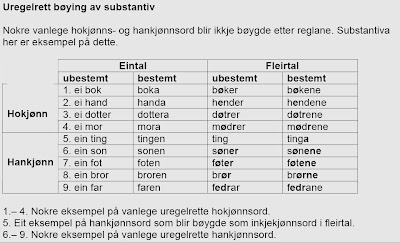substantiv nynorsk substantiv nynorsk